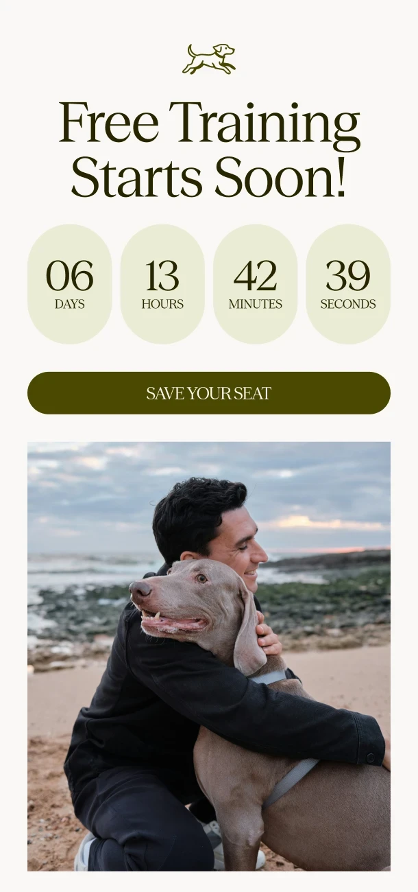 Free training countdown email template